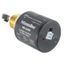 RB-24SE-L, GuardDog Electronic, 24V Low Water Cut-Off w/ Burner Control Harness (Water) (Gray Tubing)
