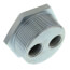2" NPT x 1/2" FNPT 4-Way Tap Tank Bushing