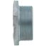 2" NPT x 1/2" FNPT 4-Way Tap Tank Bushing