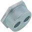 2" NPT x 1/2" FNPT 4-Way Tap Tank Bushing