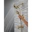 Arvo 14 Series Tub & Shower Trim w/ In2ition (Champagne Bronze), 144840-CZ-I
