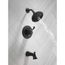 Esato 14 Series Shower Trim w/ Rough (Matte Black), 144897-BL