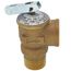 3/4" FWL-2F Pressure Relief Valve (125 PSI)