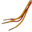 24 VAC Powerhead for Stainless Manifold, 4-Wire
