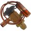 RCVE-6-GA 1/2" x 5/8" ODF Thermal Expansion Valve w/ 30" Capillary (6 Ton)