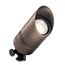 12V Brass Accent Light (Centennial Brass)