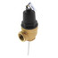 1" FVX-5L Commercial T&P Relief Valve (Female Inlet)