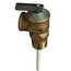 3/4" NCLX-5 Domestic T&P Relief Valve