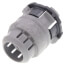1/2" PVC ENT Snap-In Terminal Adapter, Sch. 40