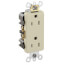 Decora Plus Duplex Receptacle, Back/Side Wired, 15A, NEMA 5-15R, 2P, Ivory (125V)
