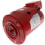 Ball Bearing Motor, 3/4 HP (PD-37T, Series 60)