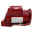 Single Phase Motor for MF Series Pumps - 115/208-230V, 1 HP