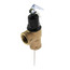 1" FVX-5C Commercial T&P Relief Valve (Female Inlet)