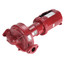 1 HP e623T Series e-60 Bronze Fitted 1-1/2" x 1-1/2" x 7" In-Line Pump (3 PH, 208-230/460V)