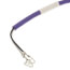 Temperature Sensor, 17B0031N01