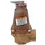 250-3/4-30, Relief Valve 3/4" NPT, 30 psi (2.1 kg/cm2)