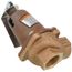 250-3/4-30, Relief Valve 3/4" NPT, 30 psi (2.1 kg/cm2)