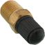 1/8" MIP Air Tank Valve