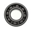 Ball Bearing Pump End