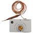 TH-188 Direct Acting Thermostat - Unit Mounted