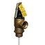 3/4" Commercial ASME T&P Relief Valve (3" Element, 150 psi)