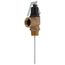 1" MNPT Commercial ASME T&P Relief Valve (5" Element, 125 psi)