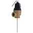 1" FNPT Commercial ASME T&P Relief Valve (5" Element, 150 psi)