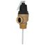 1-1/4" MNPT x 1" FNPT Commercial ASME T&P Relief Valve (4" Element, 150 psi)