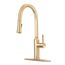Single Handle Kitchen Faucet w/ Pull-Down Sprayer (Brushed Gold), 19-400G