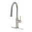 Single Handle Kitchen Faucet w/ Pull-Down Sprayer (Satin FInish), 19-400S