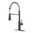 Single Handle Kitchen Faucet w/ Exposed Spring (Matte Black), 19-401B