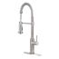 Single Handle Kitchen Faucet w/ Exposed Spring (Satin FInish), 19-401S