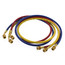 2 Valve Basic Manifold w/ 60" Hoses, R22/R404A/R410A (0-800 psi)