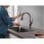 Single-handle Pull-down Kitchen Faucet w/ Touch2o (Venetian Bronze), 19888TZ-RB-DST
