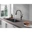 Single-handle Pull-down Kitchen Faucet w/ Touch2o (Venetian Bronze), 19888TZ-RB-DST