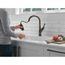 Ophelia Single-handle Pull-down Kitchen Faucet (Venetian Bronze), 19888Z-RB-DST