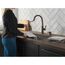 Spargo 1 Handle Pull-down Kitchen Faucet w/ Soap Dispenser & Shieldspray (Venetian Bronze), 19964Z-RBSD-DST