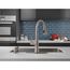 Spargo 1 Handle Pull-down Kitchen Faucet w/ Soap Dispenser & Shieldspray (Spotshield Stainless), 19964Z-SPSD-DST