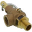 19 Series 3/4" MNPT x 1" FNPT 1,152 LBS/HR Safety Relief Valve (100 psi)