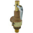 19 Series 3/4" MNPT x 1" FNPT 1,152 LBS/HR Safety Relief Valve (100 psi)