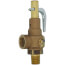 19 Series 3/4" MNPT x 1" FNPT 1,152 LBS/HR Safety Relief Valve (100 psi)