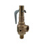 19 Series 3/4" MNPT x 1" FNPT 310 LBS/HR Safety Relief Valve (15 psi)