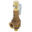 19 Series 1" MNPT x 1-1/4" FNPT 2,585 LBS/HR Safety Relief Valve (150 psi)