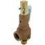 19 Series 1-1/4" MNPT x 1-1/2" FNPT 4,240 LBS/HR Safety Relief Valve (150 psi)