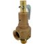 19 Series 1-1/2" MNPT x 2" FNPT 6,616 LBS/HR Safety Relief Valve (150 psi)