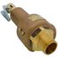 19 Series 1-1/2" MNPT x 2" FNPT 6,616 LBS/HR Safety Relief Valve (150 psi)
