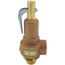 19 Series 2" MNPT x 2-1/2" FNPT 4,283 BS/HR Safety Relief Valve (50 psi)
