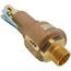 19 Series 2" MNPT x 2-1/2" FNPT 4,283 BS/HR Safety Relief Valve (50 psi)