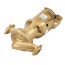 1/2 HP Be608T Series e-60 Bronze 1-1/2" x 5-1/4" In-Line Pump (3 PH, 208-230/460V)