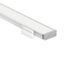 TE Standard Series 8' Kit Shallow Well Surface Channel Silver